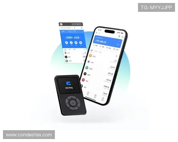 D3顶盛体育会员注册流程优化建议帮助用户快速完成注册步骤