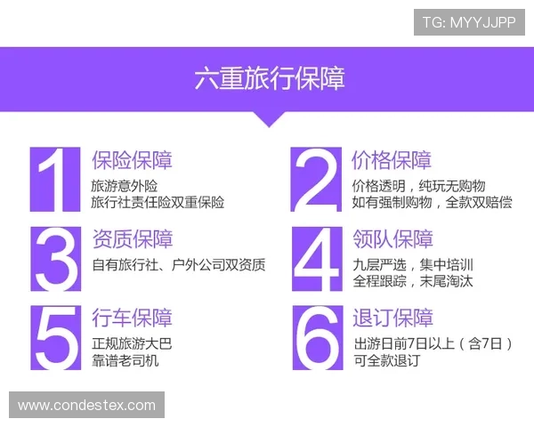 巴沙体育官网入口官方最新版本,确保用户体验流畅无障碍访问体育内容